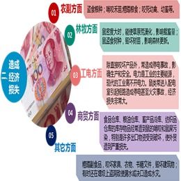 泰安養(yǎng)殖場(chǎng)高效滅鼠策略 結(jié)合專(zhuān)業(yè)服務(wù)與工業(yè)互聯(lián)網(wǎng)數(shù)據(jù)優(yōu)勢(shì)