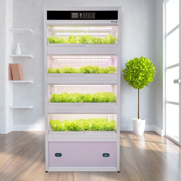 家庭陽臺(tái)無土栽培 智能立體種植系統(tǒng)與信息技術(shù)服務(wù)的融合